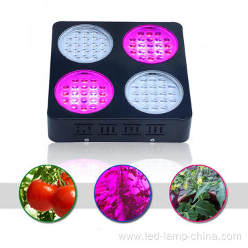 Vegetable Growing LED Grow Light